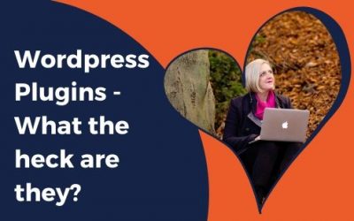 WordPress Plugins – What the heck are they?