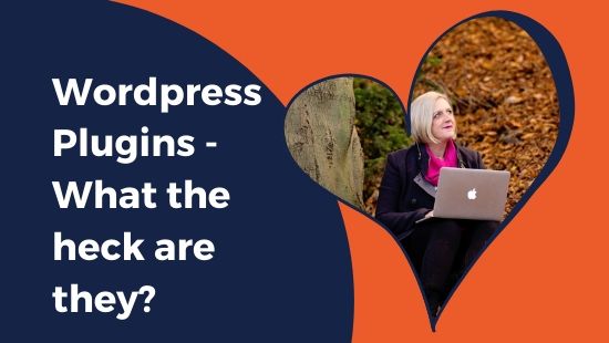 WordPress Plugins – What the heck are they?